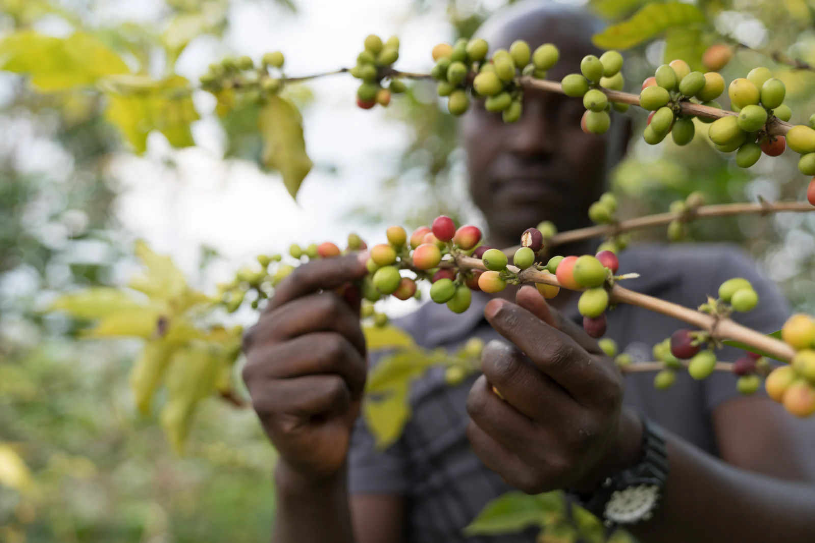 Rwanda
